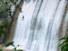 -杏花樓(大世界店)