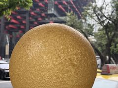 -杨记隆府(重庆总店)