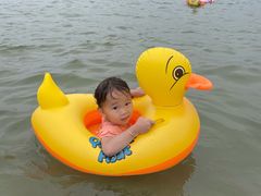 -碧海金沙