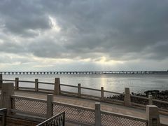 -宝安西湾红树林湿地公园