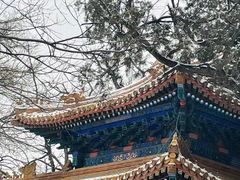 -北京国子监胡同