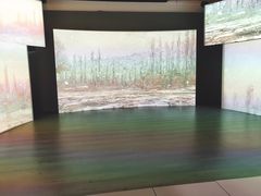 -印象莫奈时光映迹艺术展