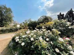 -人民公园(罗湖区)