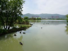 -长兴太湖图影湿地文化园