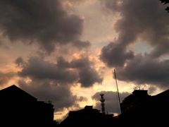 -上海市位育初级中学