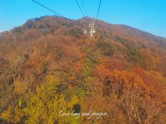 -紫金山山顶公园