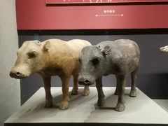 -北京大葆台遗址博物馆