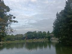 -海珠湖公园