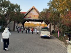 -上海海湾国家森林公园