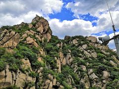 -大岭沟猕猴桃谷风景区