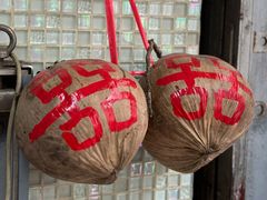 -洪馨椰子