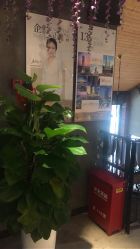 -Cocodemer 产后恢复中心(多伦路店)