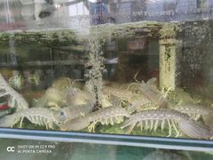 -凯华海鲜火锅·传承三十六年