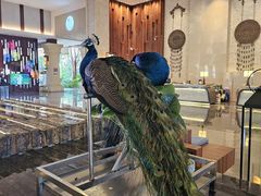 -西双版纳融创皇冠假日度假酒店