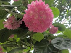 -南山植物园
