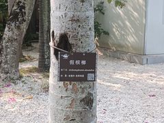 -南宁南湖公园