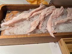 -九鼎轩脆毛肚火锅(三钢里店)