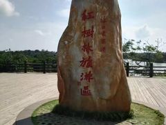 -东寨港红树林旅游区