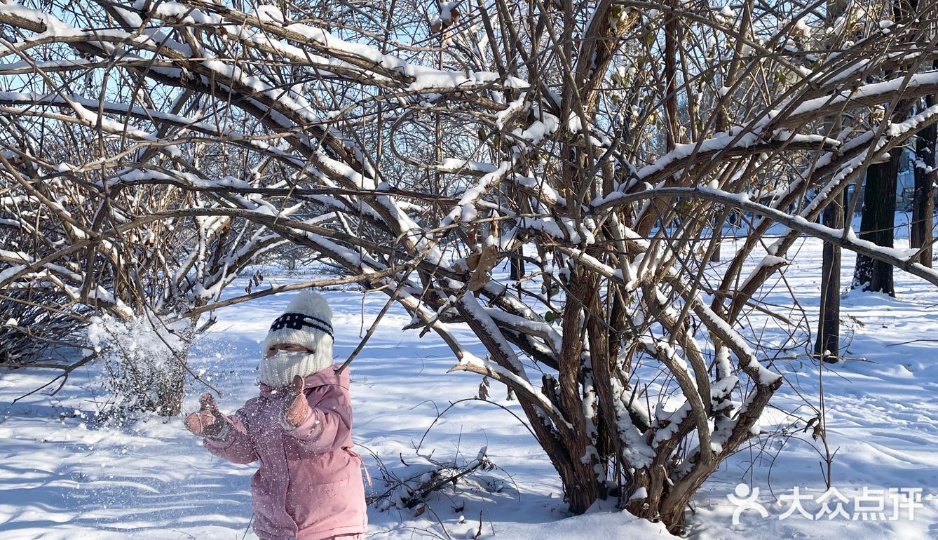 冬天来东北玩雪