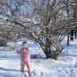 冬天来东北玩雪