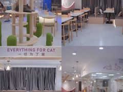 -喵园·猫主题咖啡厅·撸猫·猫咖(国贸店)