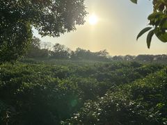 -南京市江宁方山