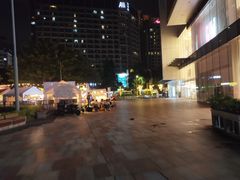 -岭南站NOVA