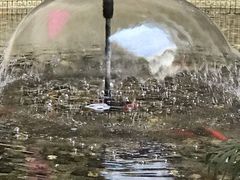 -辽宁省人民医院