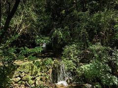 -王顺山国家森林公园