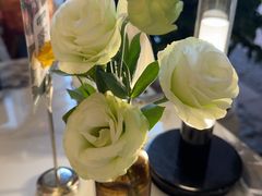 -O'eat Blossom&Pelican(深圳首店)