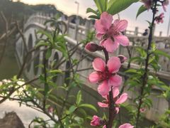 -水濂山森林公园