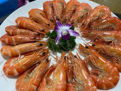 白灼九节虾-蚝专家(北滘店)