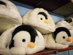 -北戴河圣蓝海洋公园