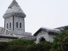 -涉地可支