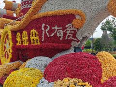 -荷兰花海
