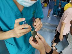 -天津前进宠物医院(前进道店)