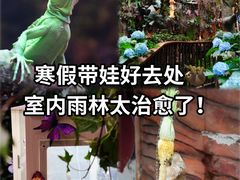 -正佳雨林生态植物园