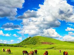 -塞罕坝国家级自然保护区