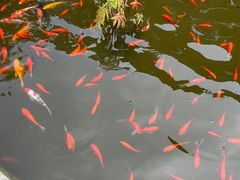 -红螺寺