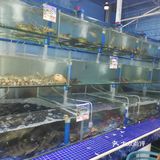 【三亚day1】适合海边蹦迪 喝点小酒吃海鲜