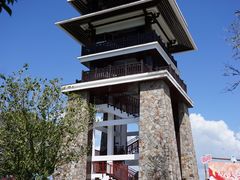 -大湾区中央湿地公园