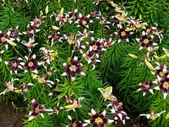 -长春公园(普阳街道)