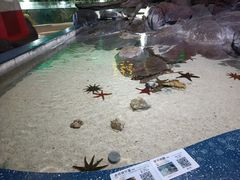 -福州罗源湾海洋世界旅游区