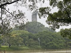 -江心屿景区