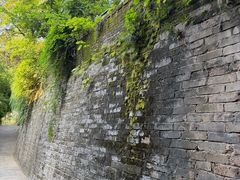 -白沙古井