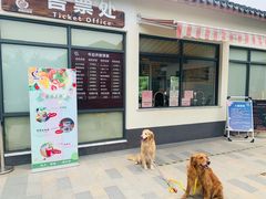 -菊园百果园