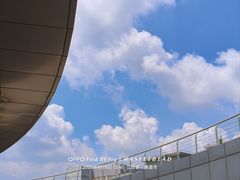 -九龙湖公园