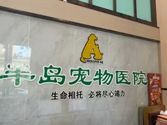 -半岛宠物医院24小时(科华中路店)