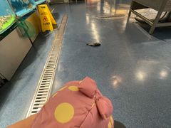 -麦德龙(虹口江湾店)