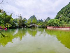 -靖西鹅泉风景区